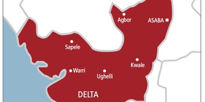 Delta nigeria kart