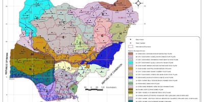 Kart over nigeria som viser ulike vegetasjonssoner